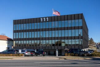 Plus de détails pour 111 S Ridge St, Rye Town, NY - Bureau à vendre