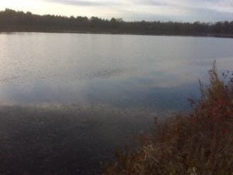 38 Lehigh Rd, Gouldsboro, PA for sale Primary Photo- Image 1 of 3