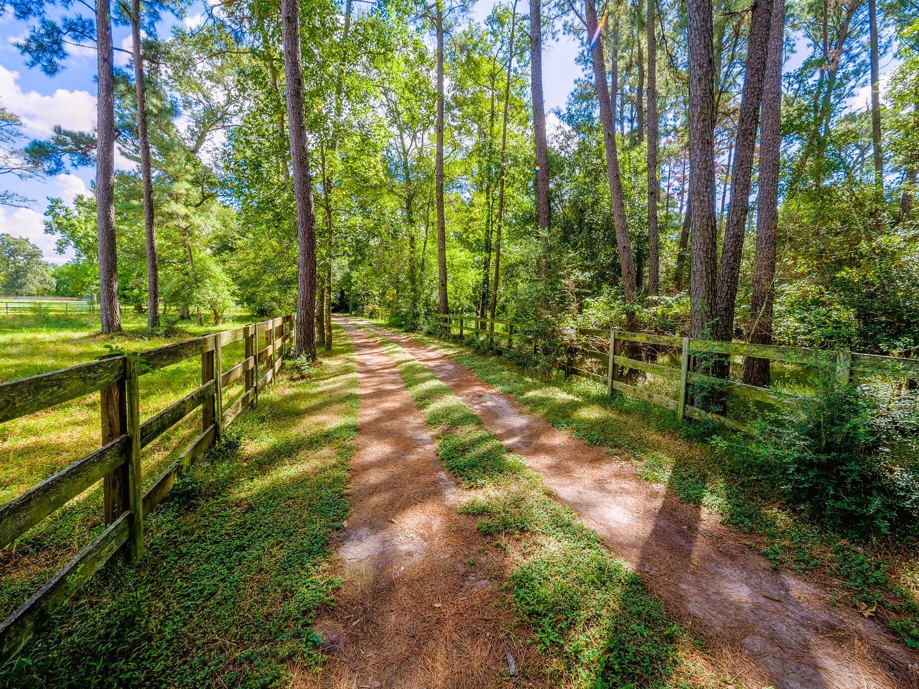 39526 Cimarron Way, Magnolia, TX à vendre Photo principale- Image 1 de 36