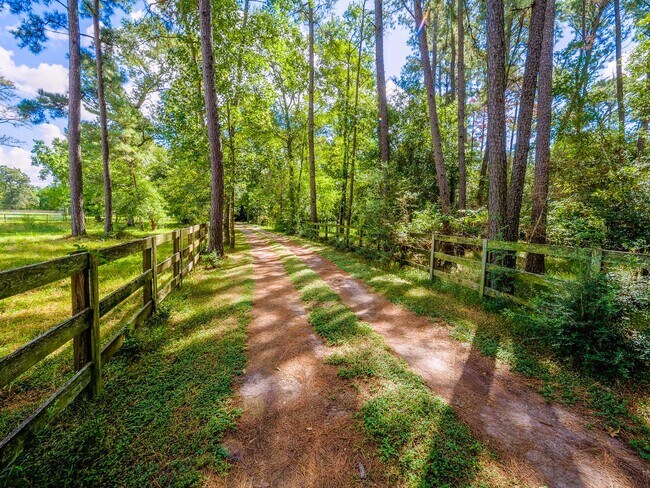 Plus de détails pour 39526 Cimarron Way, Magnolia, TX - Terrain à vendre