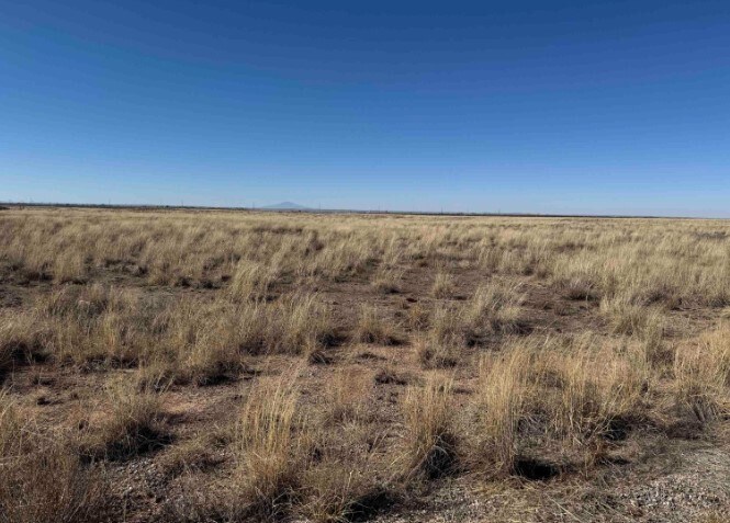 0000 Wrangler, Roswell, NM for sale - Primary Photo - Image 1 of 1