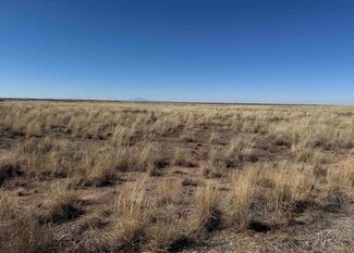 More details for 0000 Wrangler, Roswell, NM - Land for Sale