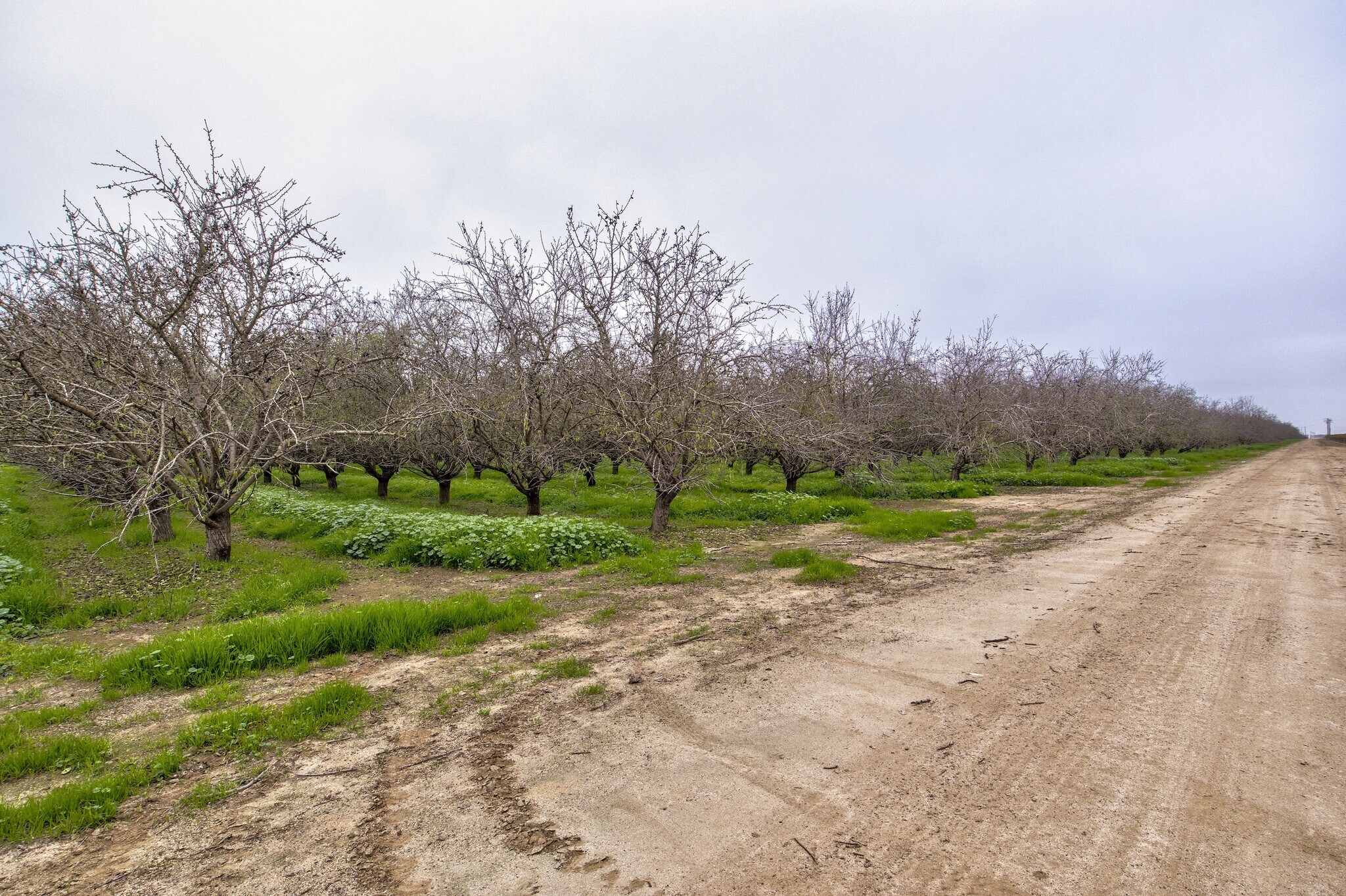 Avenue 48 & Road 164, Earlimart, CA for sale Primary Photo- Image 1 of 17