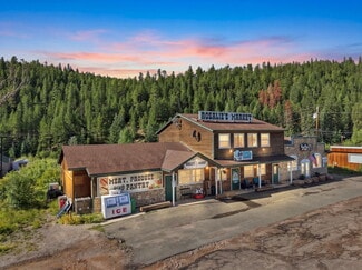 Plus de détails pour 49 County Road 68, Bailey, CO - Commerce de détail à vendre