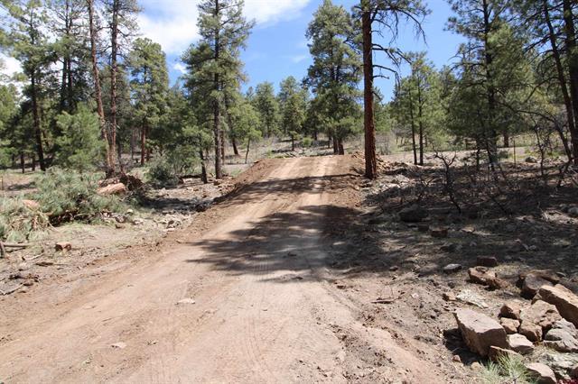 2116 County Road, Pagosa Springs, CO for sale - Primary Photo - Image 1 of 3