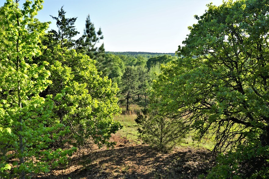 12733 County Road 431, Tyler, TX for sale - Primary Photo - Image 1 of 16