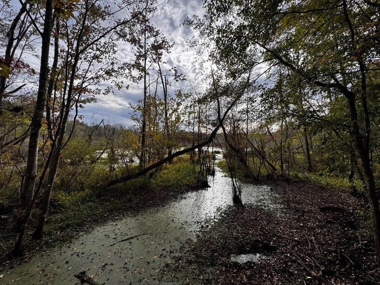 Coon Hop Rd, Hardaway, AL à vendre - Photo du bâtiment - Image 3 de 5