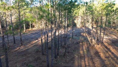 319 - 547 Sisters Ferry Road, Ridgeland, SC - Aerial map view - Image1