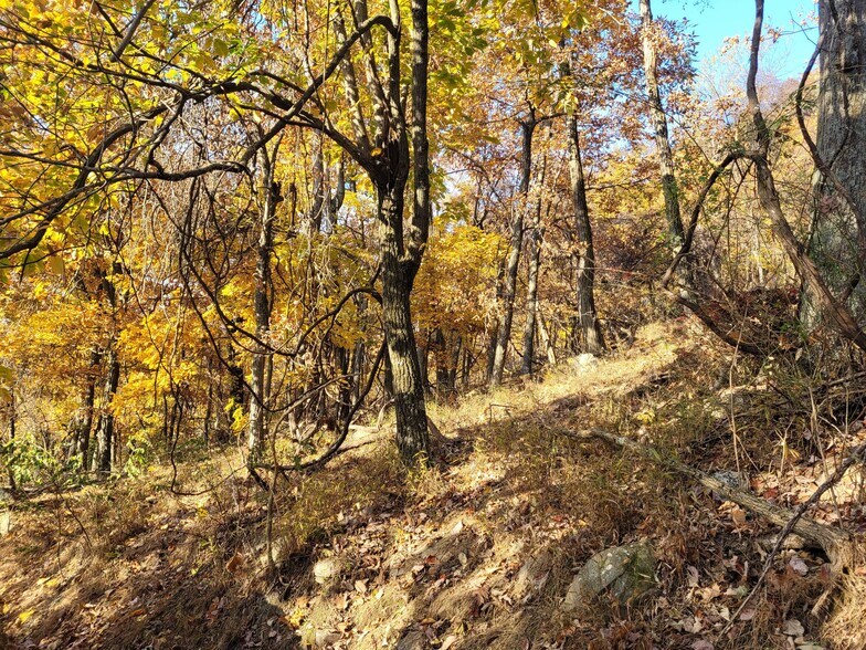 Lot 19 South West Slope rd., Star Tannery, VA à vendre - Photo du bâtiment - Image 3 de 40