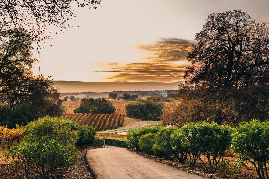 20680 Shenandoah School Rd, Plymouth, CA à vendre - Photo du bâtiment - Image 3 de 34