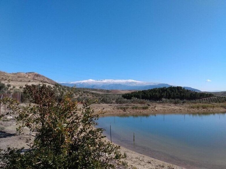 Terrain dans La Malahá, Granada à vendre - Aérien - Image 3 de 36