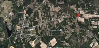 Plus de détails pour 1301 Saint Matthews Rd, Swansea, SC - Terrain à vendre