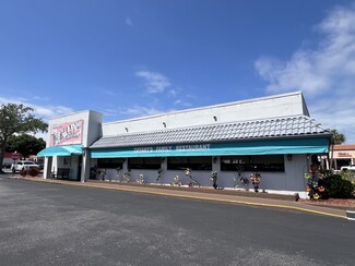 Plus de détails pour 35000 US Highway 19 N, Palm Harbor, FL - Vente au détail à louer