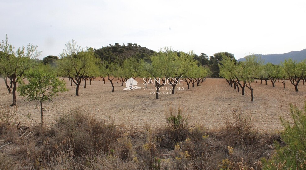 Land in Sax, Alicante for sale - Primary Photo - Image 2 of 6