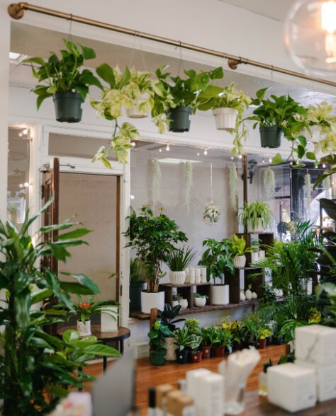 701 Front St, Santa Cruz, CA à louer - Photo intérieure - Image 3 de 9