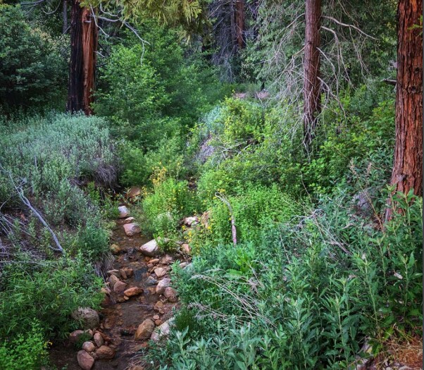 Highway 330, Running Springs, CA à vendre - Photo du bâtiment - Image 1 de 11