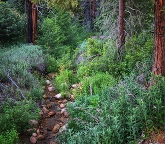 Plus de détails pour Highway 330, Running Springs, CA - Terrain à vendre