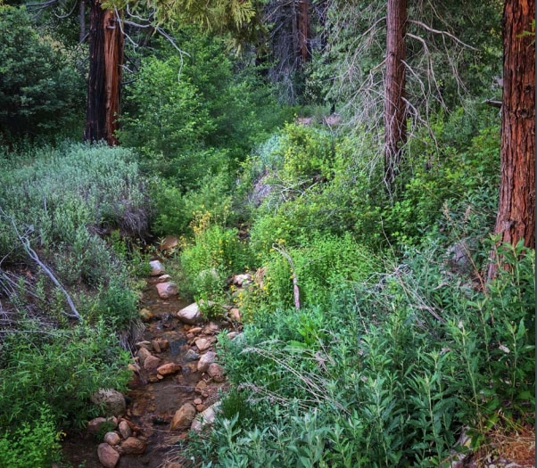 Highway 330, Running Springs, CA for sale Building Photo- Image 1 of 12