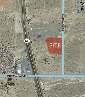 Plus de détails pour 2100 North Lakoda St, Pahrump, NV - Terrain à vendre