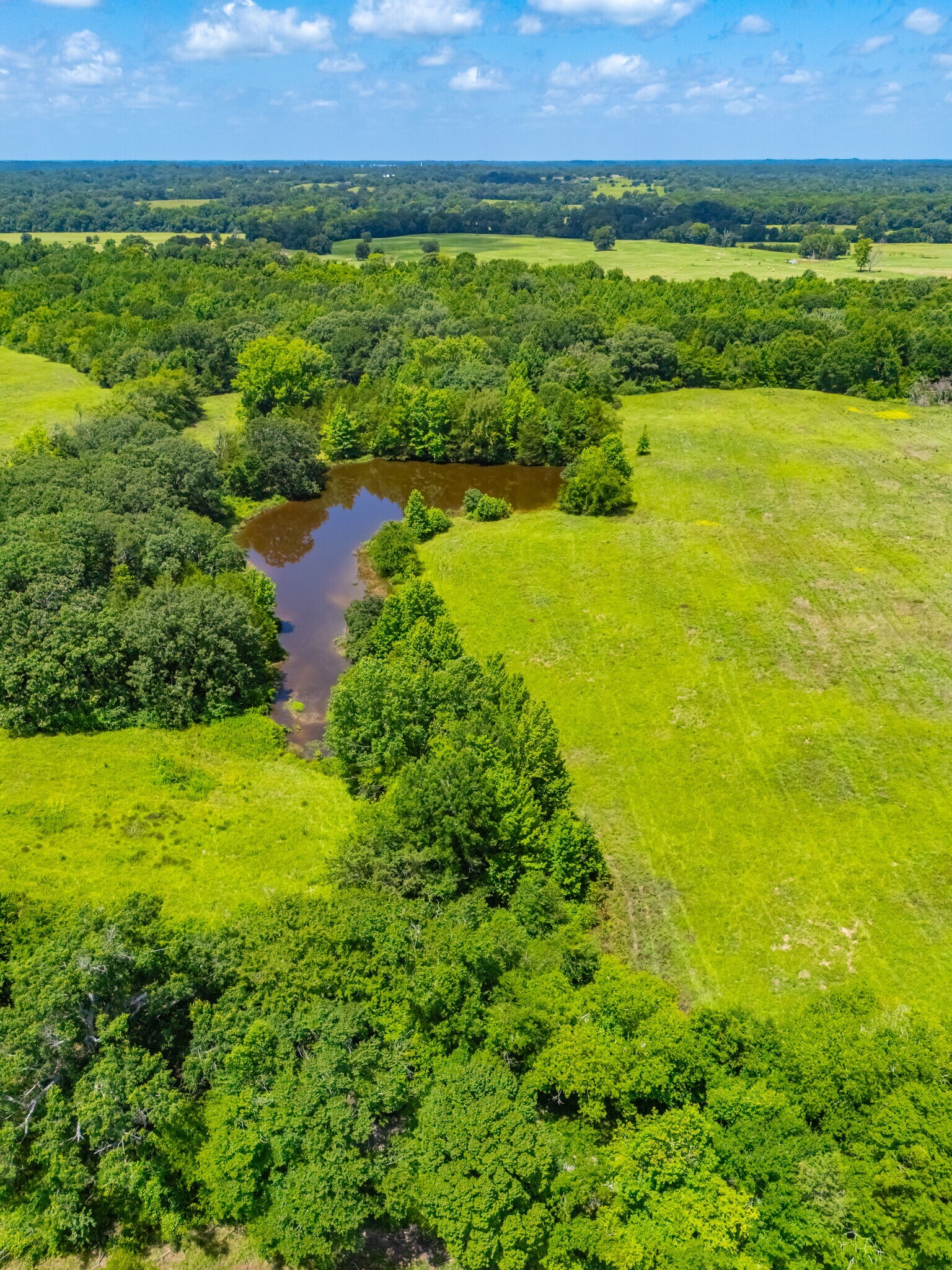 County Road 3311, Omaha, TX à vendre Photo principale- Image 1 de 25