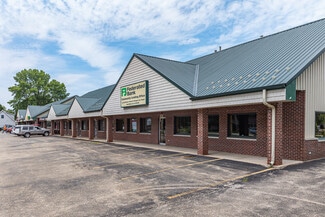 More details for 264-272 S Front St, Braidwood, IL - Retail for Lease