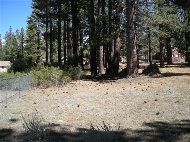 776 Knickerbocker Rd, Big Bear Lake, CA for sale Primary Photo- Image 1 of 15