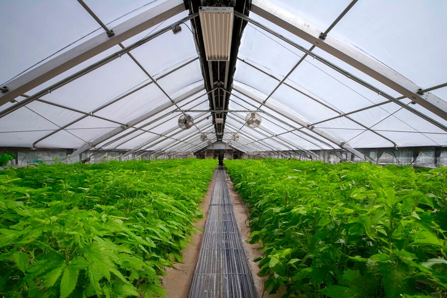 3740 Bridlepath Ln, Virginia Beach, VA for lease - Building Photo - Image 2 of 14