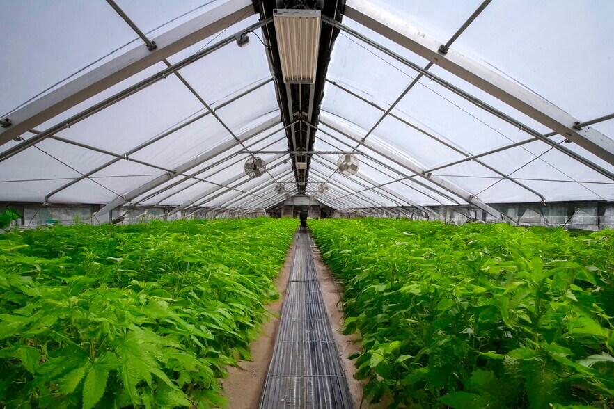 3740 Bridlepath Ln, Virginia Beach, VA à louer - Photo du bâtiment - Image 2 de 14