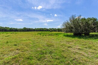 More details for 419 Jameson Rd, Lithia, FL - Land for Sale