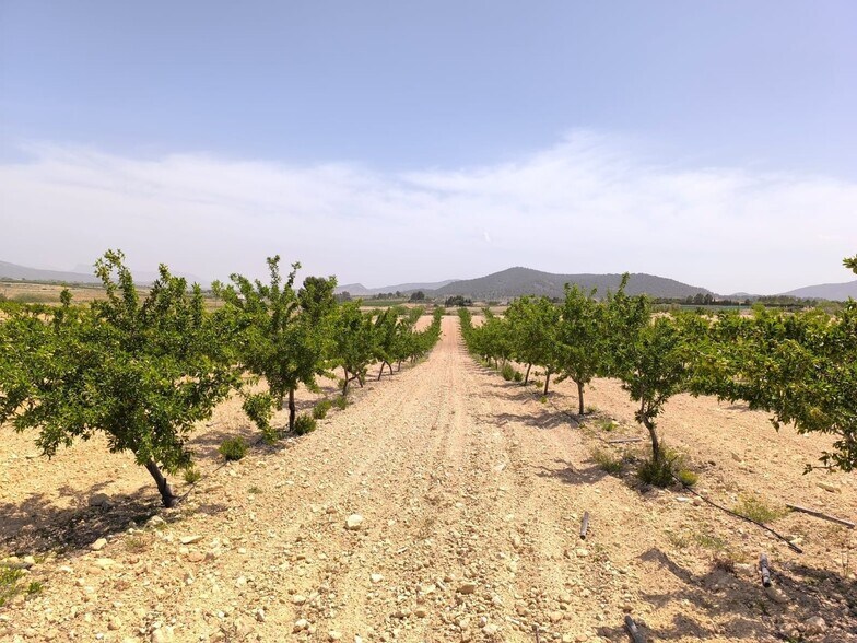 Land in Úbeda, Jaén for sale - Primary Photo - Image 1 of 6