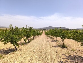 Valenciana, Úbeda, JAE - AÉRIEN  Vue de la carte - Image1