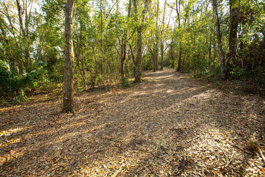 W DR MARTIN LUTHER KING JR blvd, Brooksville, FL à vendre - Autre - Image 2 de 7