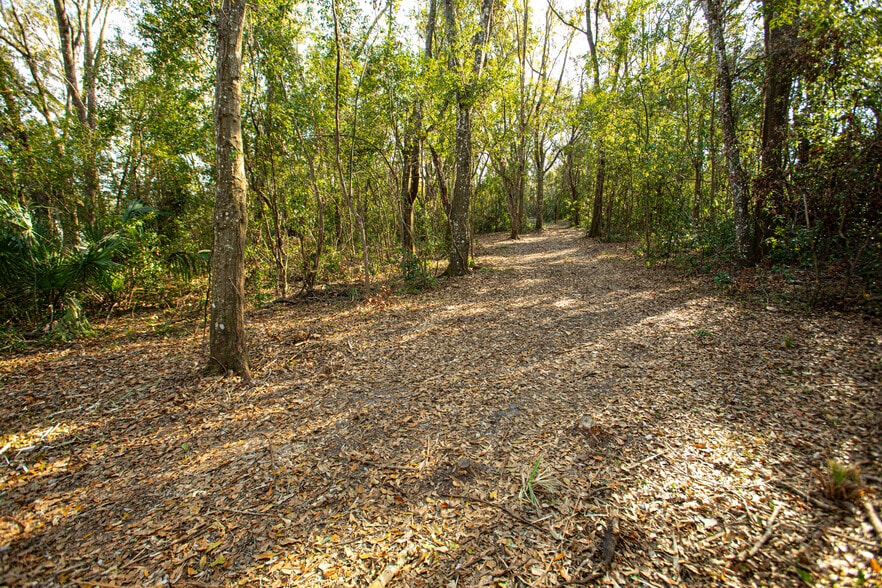 W DR MARTIN LUTHER KING JR blvd, Brooksville, FL for sale - Other - Image 2 of 7