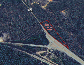 Plus de détails pour Carolina (Hwy 321) rd, Blackstock, SC - Terrain à vendre