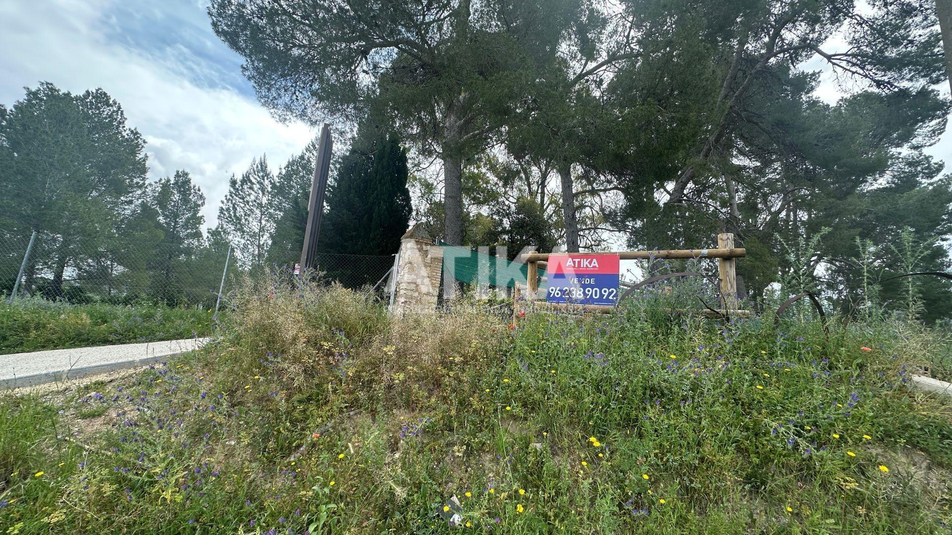 Polígono, Ontinyent, Pou Clar, Parcela 436, Ontinyent, Valencia for sale Primary Photo- Image 1 of 8