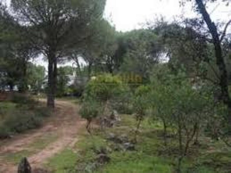 Land in Córdoba, Córdoba for sale - Aerial - Image 3 of 3