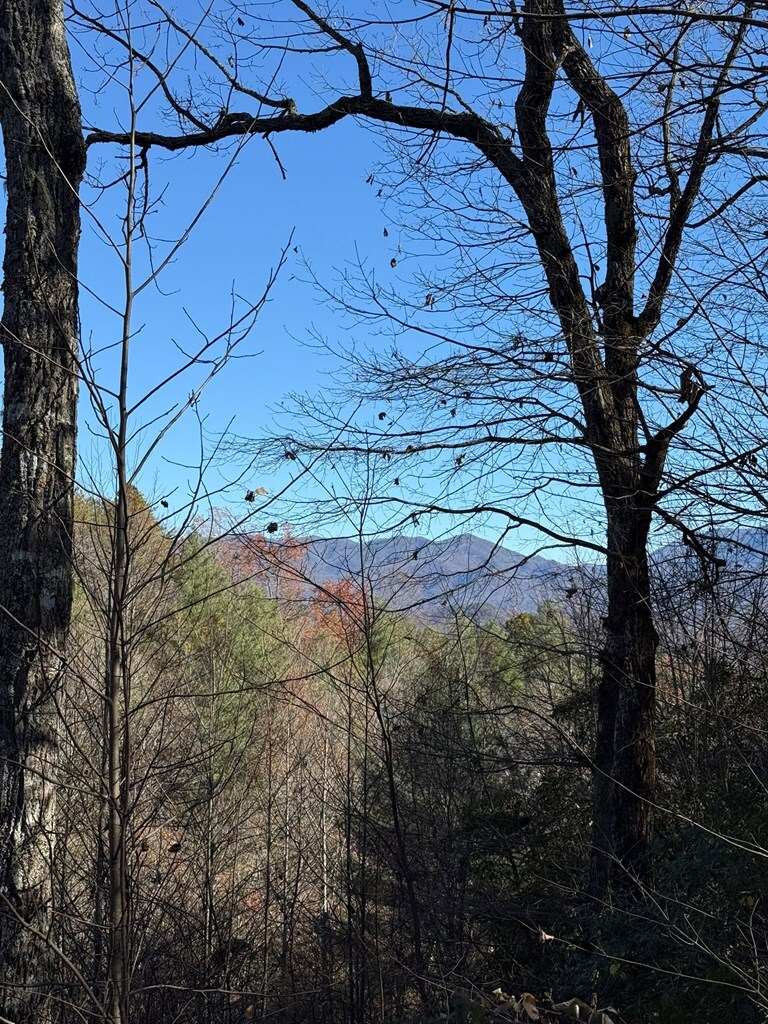 00 Airport Rd, Andrews, NC for sale Building Photo- Image 1 of 6