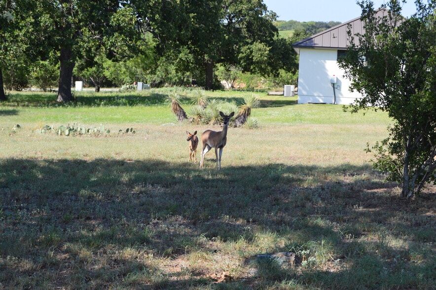 703 Long Shot, Horseshoe Bay, TX for sale - Building Photo - Image 3 of 3