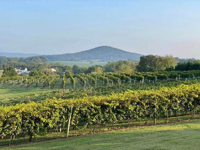 2110 Quicksburg Rd, Quicksburg, VA for sale - Building Photo - Image 3 of 63