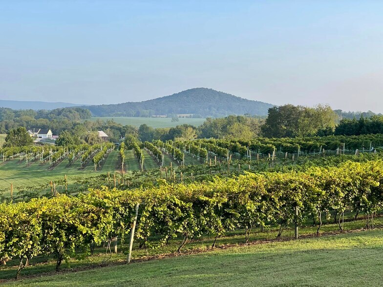 2110 Quicksburg Rd, Quicksburg, VA à vendre - Photo du bâtiment - Image 3 de 63