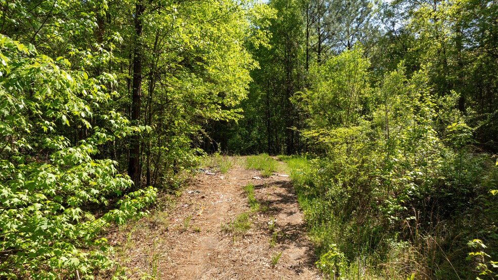 Lexington/Baldwin Park, Lagrange, GA à vendre - Aérien - Image 3 de 21