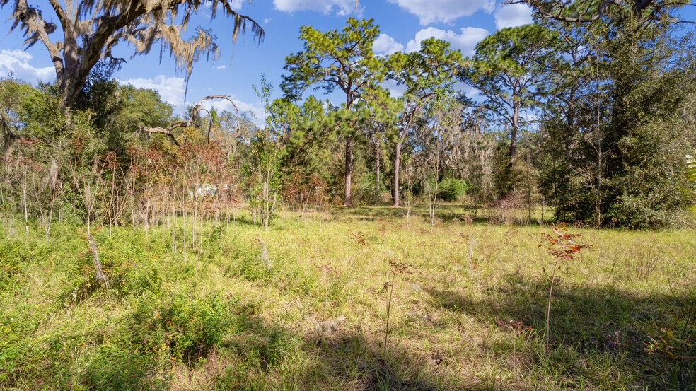 11987 US Highway 301, Belleview, FL à vendre - Photo du bâtiment - Image 3 de 43