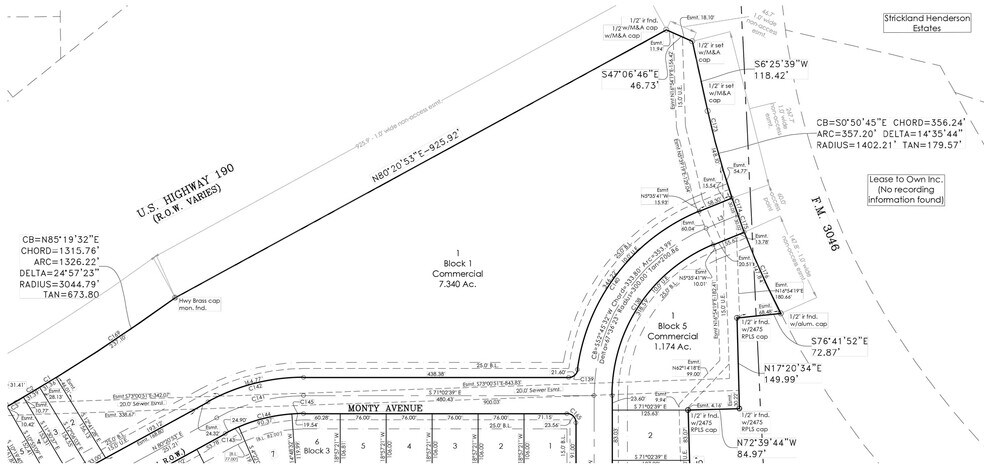 Farm to Market Road 3046, Copperas Cove, TX à vendre - Plan cadastral - Image 2 de 2