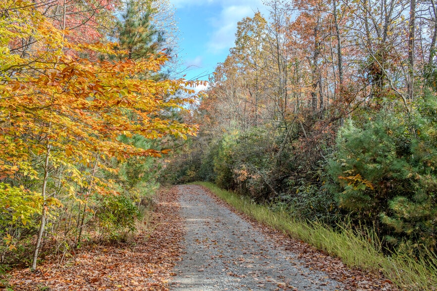 195 Still Waters Ln, Brevard, NC for sale - Building Photo - Image 2 of 59