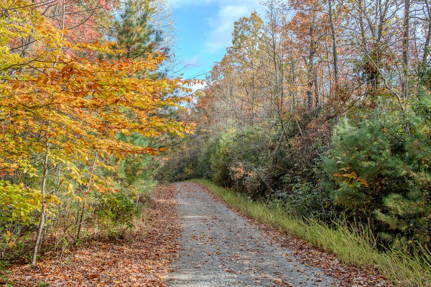 195 Still Waters Ln, Brevard, NC à vendre - Photo du bâtiment - Image 2 de 59