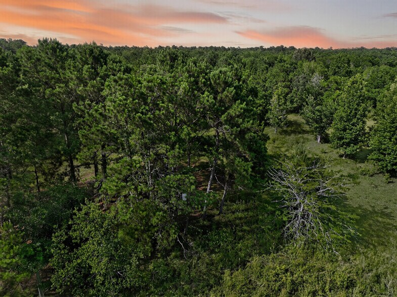 7449 HWY 61 Hwy, Hankamer, TX à vendre - Aérien - Image 2 de 13