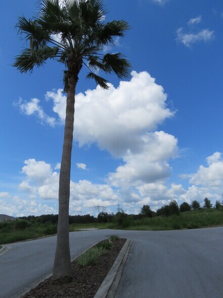 W Norvell Bryant hwy, Crystal River, FL à vendre - Photo du bâtiment - Image 2 de 12