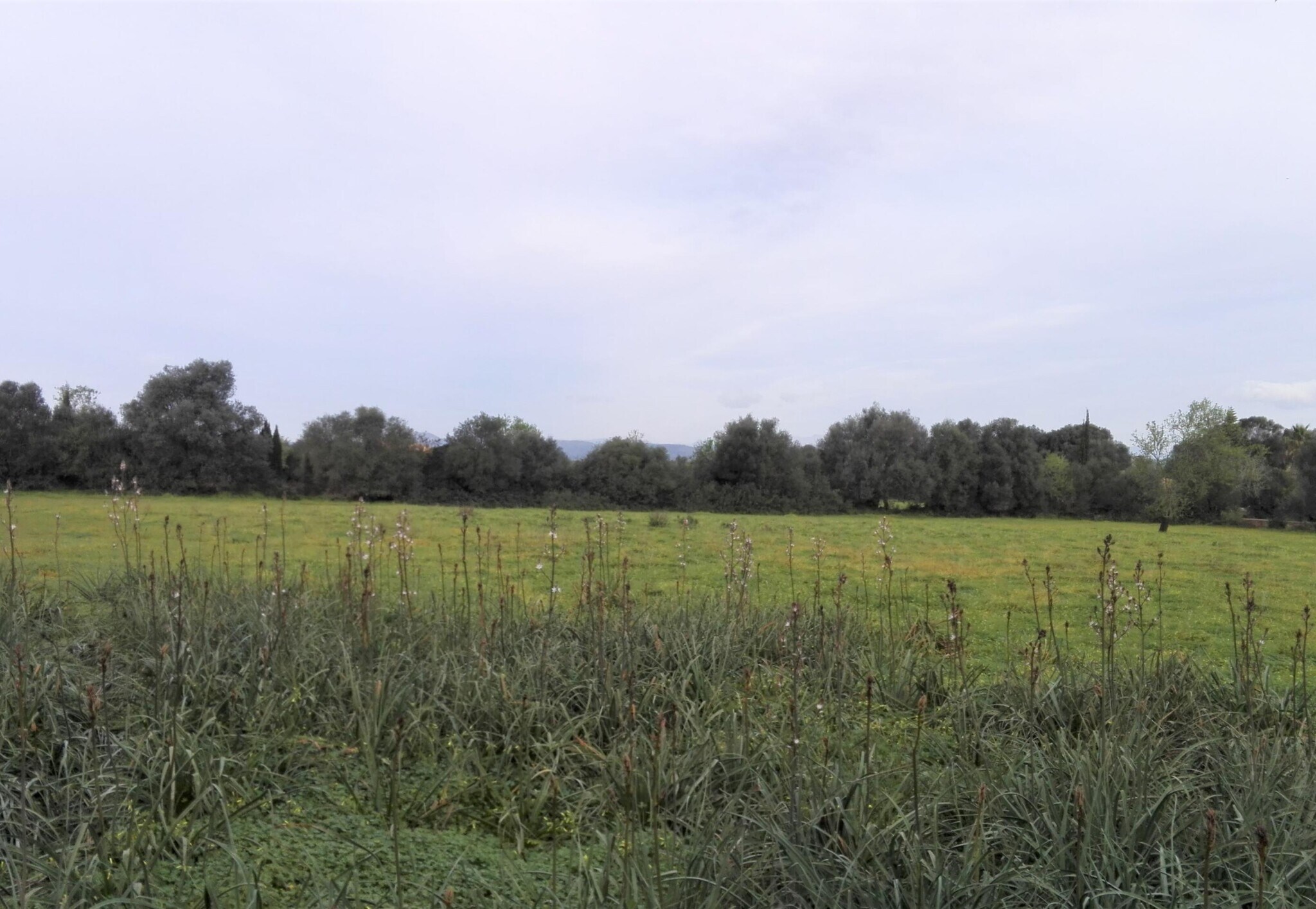 Terrain dans Campos, Islas Baleares à vendre Aérien- Image 1 de 3