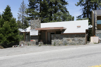 More details for 28906 Hook Creek Rd, Cedar Glen, CA - Office for Sale