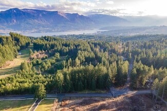 Plus de détails pour Loop Road, Stevenson, WA - Terrain à vendre